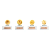 Patty Interchangeable Pasta Cutter Grn