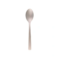 Coast Dessert Spoon
