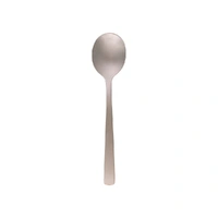 Coast Soup Spoon