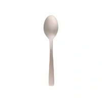 Coast Teaspoon