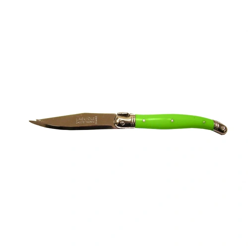 Laguiole Fruit Knife Green