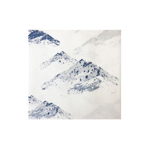 NAPKIN MOUNTAINS