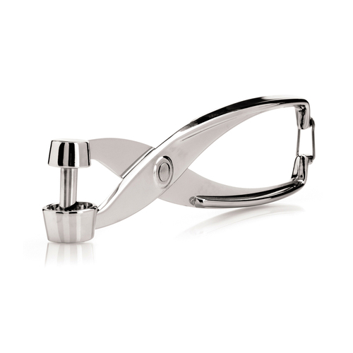 FOX RUN CHROME CHERRY PITTER (1)