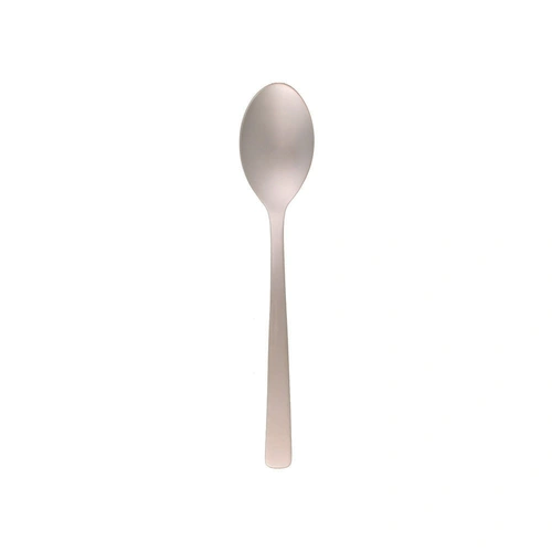 Coast Dessert Spoon