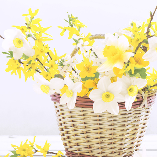LUNCHEON - Daffodil basket