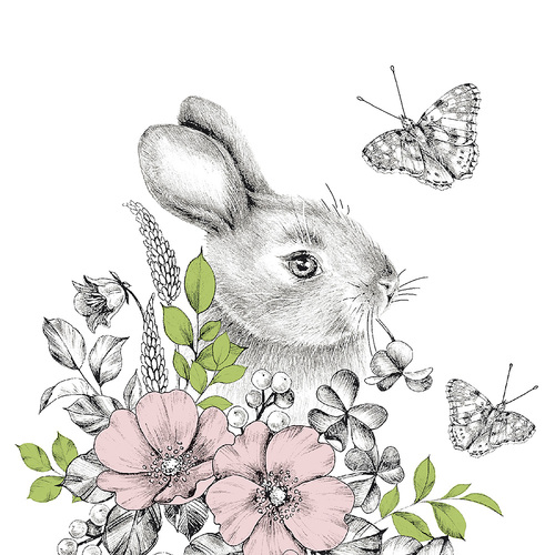 LUNCHEON -Graphite bunny